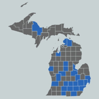 Michigan Solar Permits - Monthly*