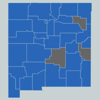 Phoenix Metro All Permits - Monthly*